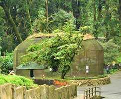 Darjeeling Tourism Honeymoon
